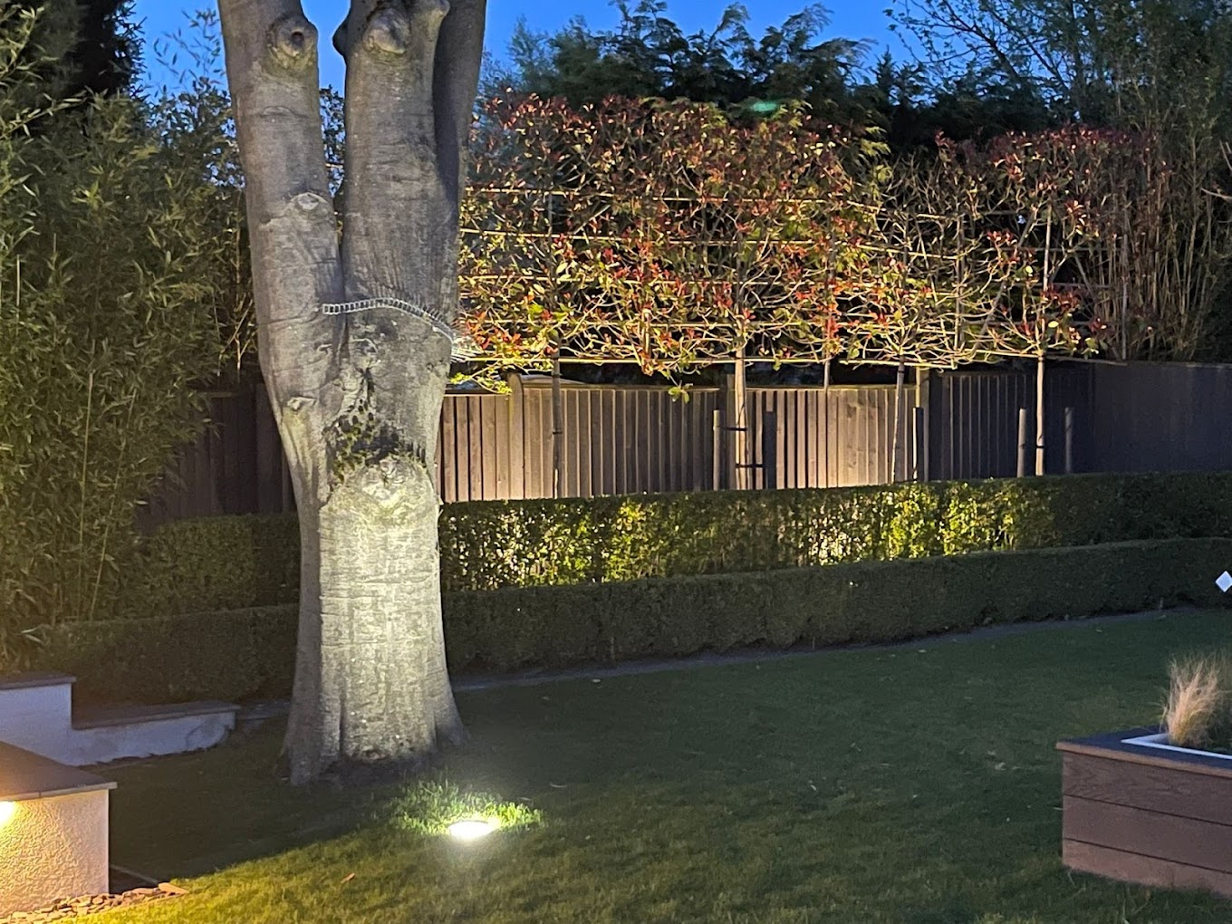 Garden tree uplighting and ground spike lights